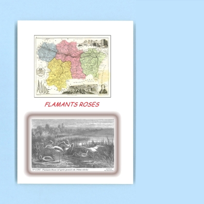 Cartes Postales impression Noir avec dpartement sur la ville de FLAMANTS ROSES Titre : 