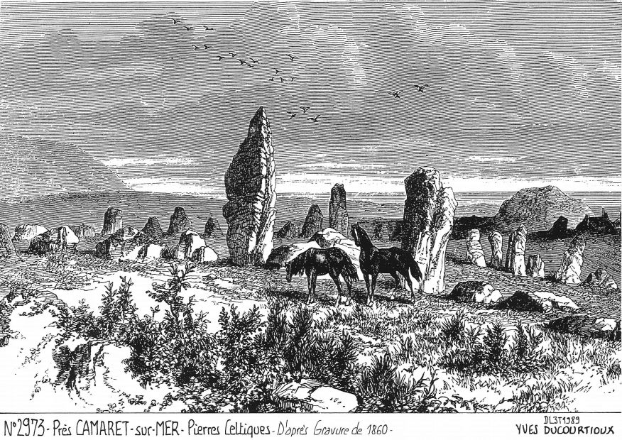 N 29073 - CAMARET SUR MER - pierres celtiques <span class=