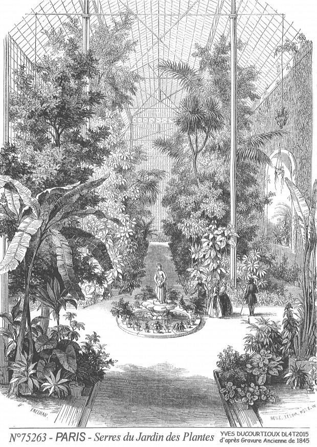 Souvenirs PARIS - serres du jardin des plantes�