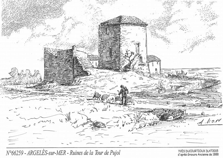 N 66259 - ARGELES SUR MER - ruines de la tour de pujol�
