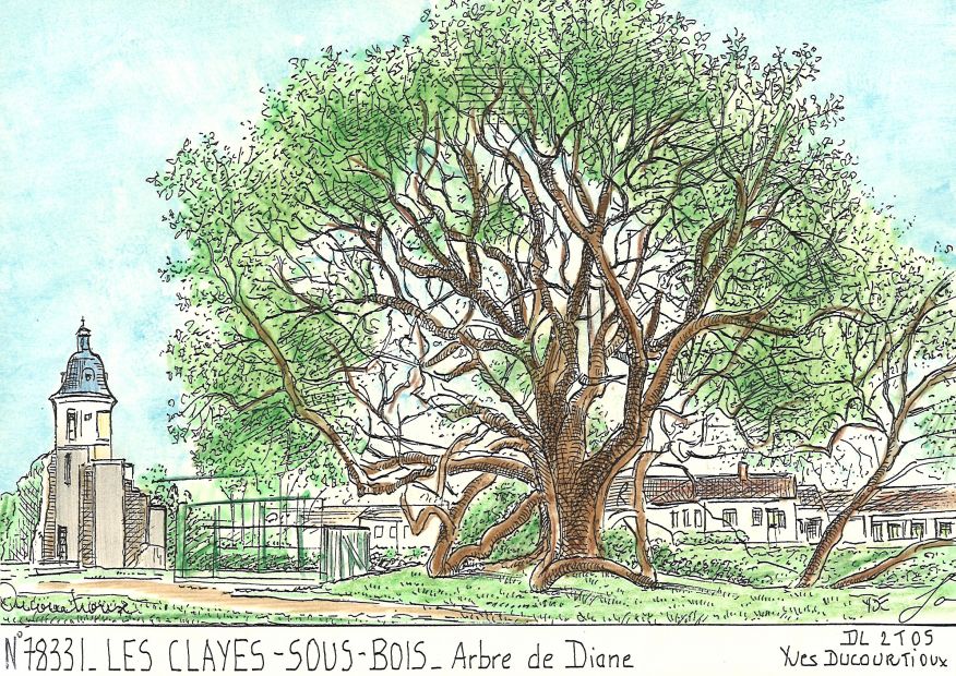 N 78331 - LES CLAYES SOUS BOIS - arbre de diane