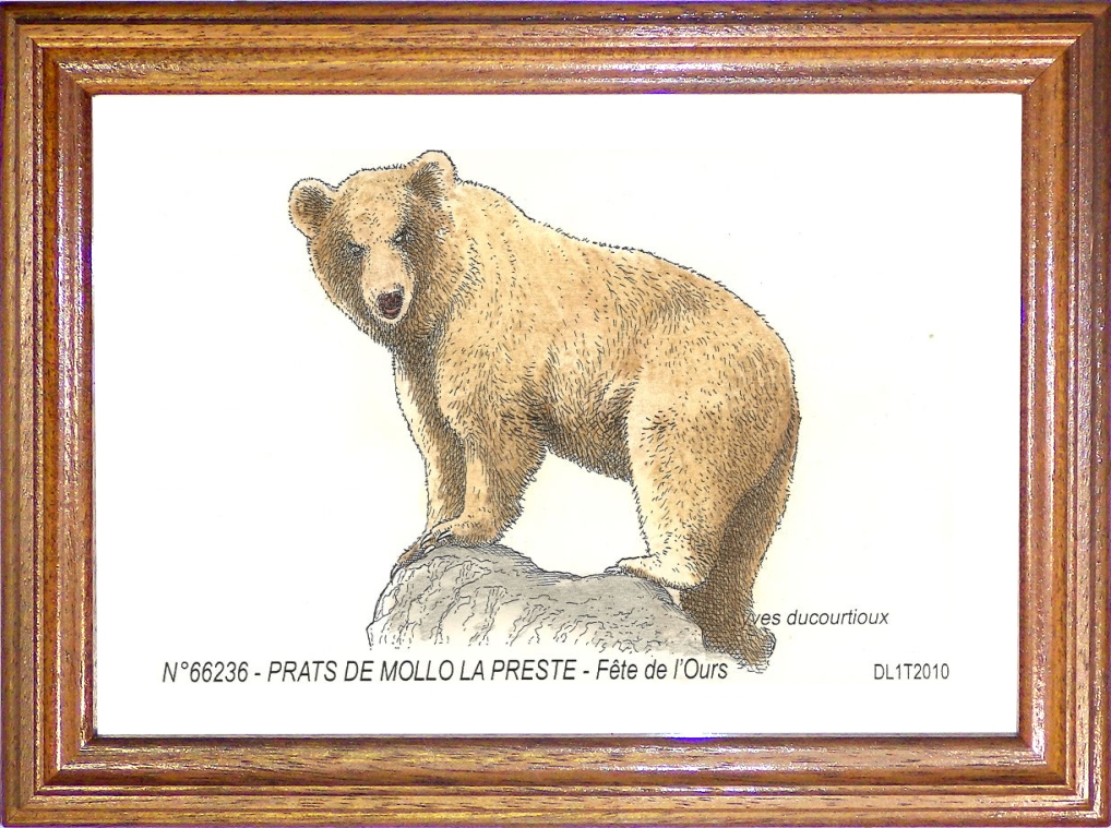 N 66236 - PRATS DE MOLLO LA PRESTE - fte de l ours