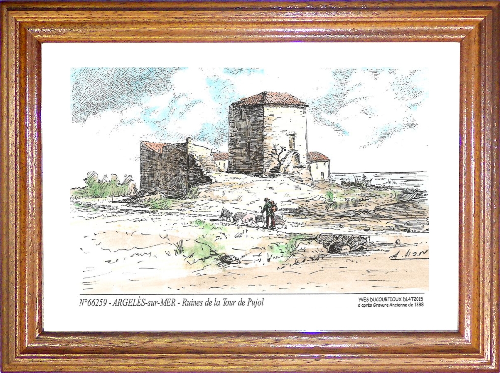 N 66259 - ARGELES SUR MER - ruines de la tour de pujol