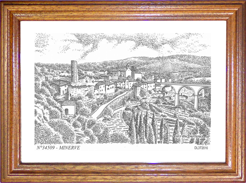 N 34509 - MINERVE - vue