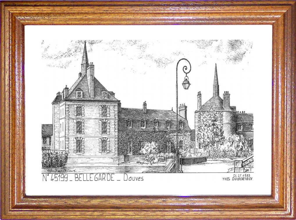 N 45199 - BELLEGARDE - douves