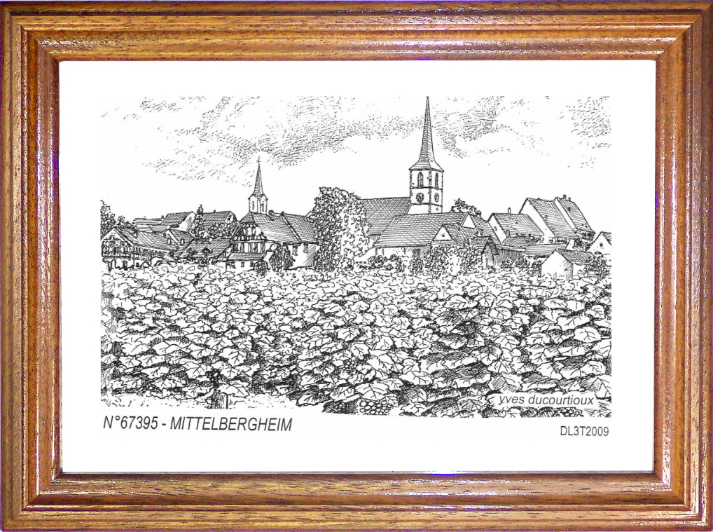 N 67395 - MITTELBERGHEIM - vue